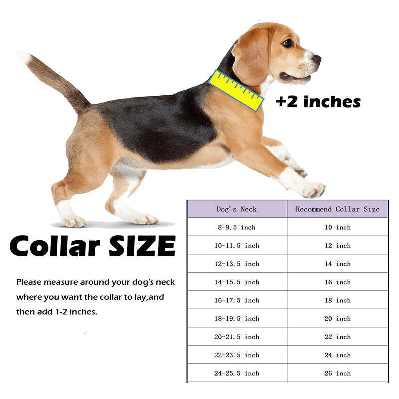Gold Dog Collar Stainless Steel Cuban Link Chain With Bone ID Tag, Luxury Pet Necklace, Small Medium Large Dogs Usage Zozostore