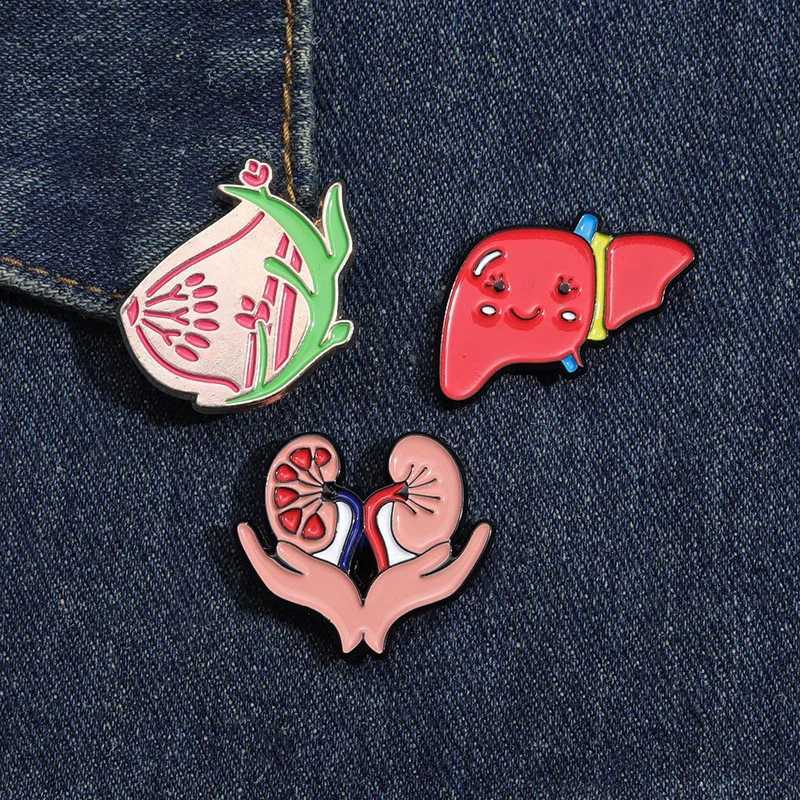 Cute healthy liver organ enamel pin mucous membrane kidney chest brooch lapel bag metal badge jewelry gift wholesale doctor nurse W240815