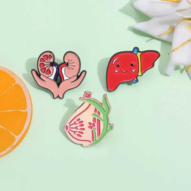 Cute healthy liver organ enamel pin mucous membrane kidney chest brooch lapel bag metal badge jewelry gift wholesale doctor nurse W240815