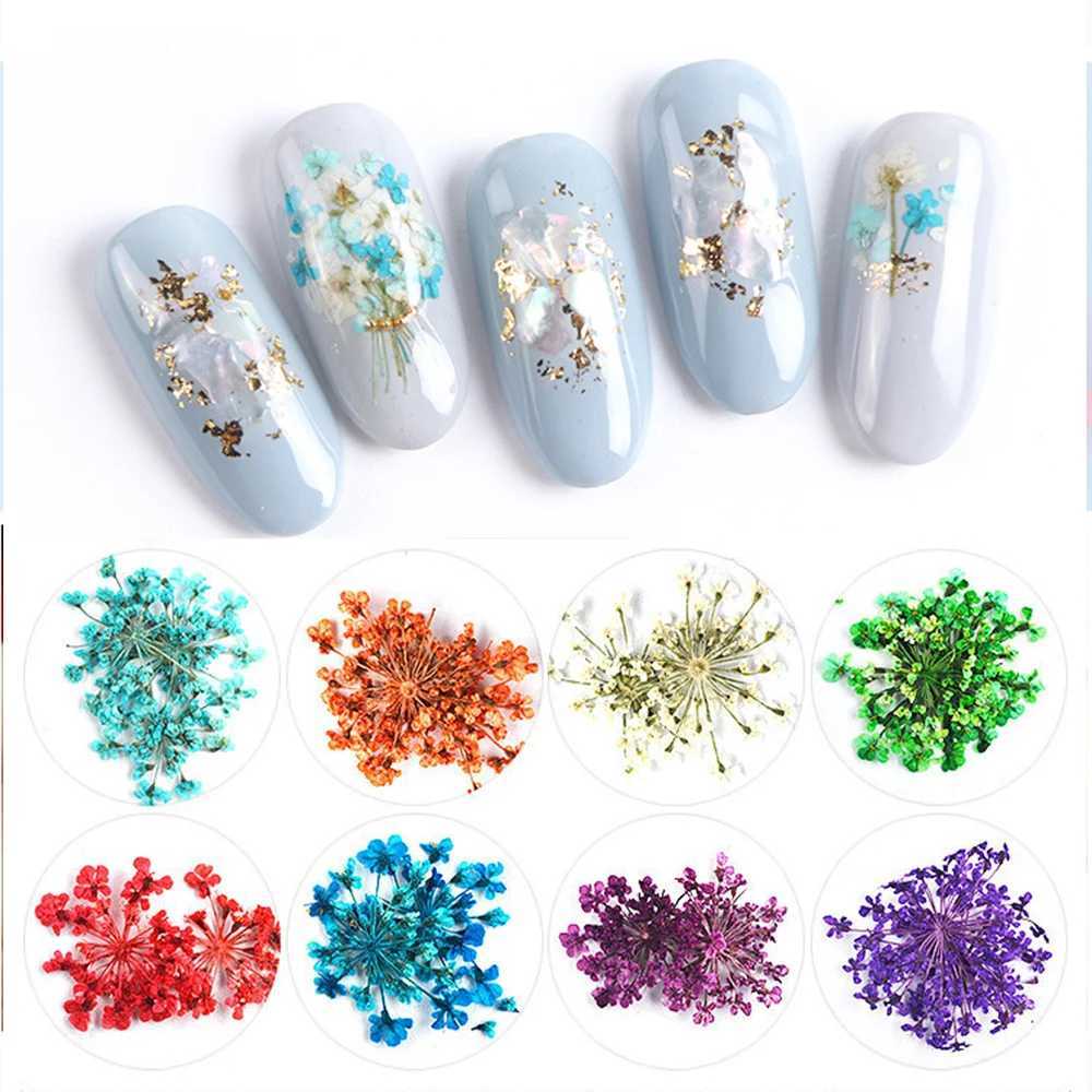 12Grid-3D Dried Flower For Nail Charms Natural Floral Sticker Mix Dry Flower DIY Colorful Decals UV Gel Polish Nail Art ManicureXJ240814