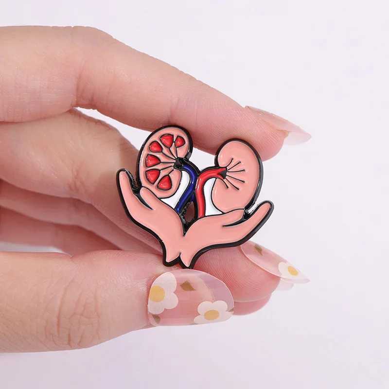 Cute healthy liver organ enamel pin mucous membrane kidney chest brooch lapel bag metal badge jewelry gift wholesale doctor nurse W240815