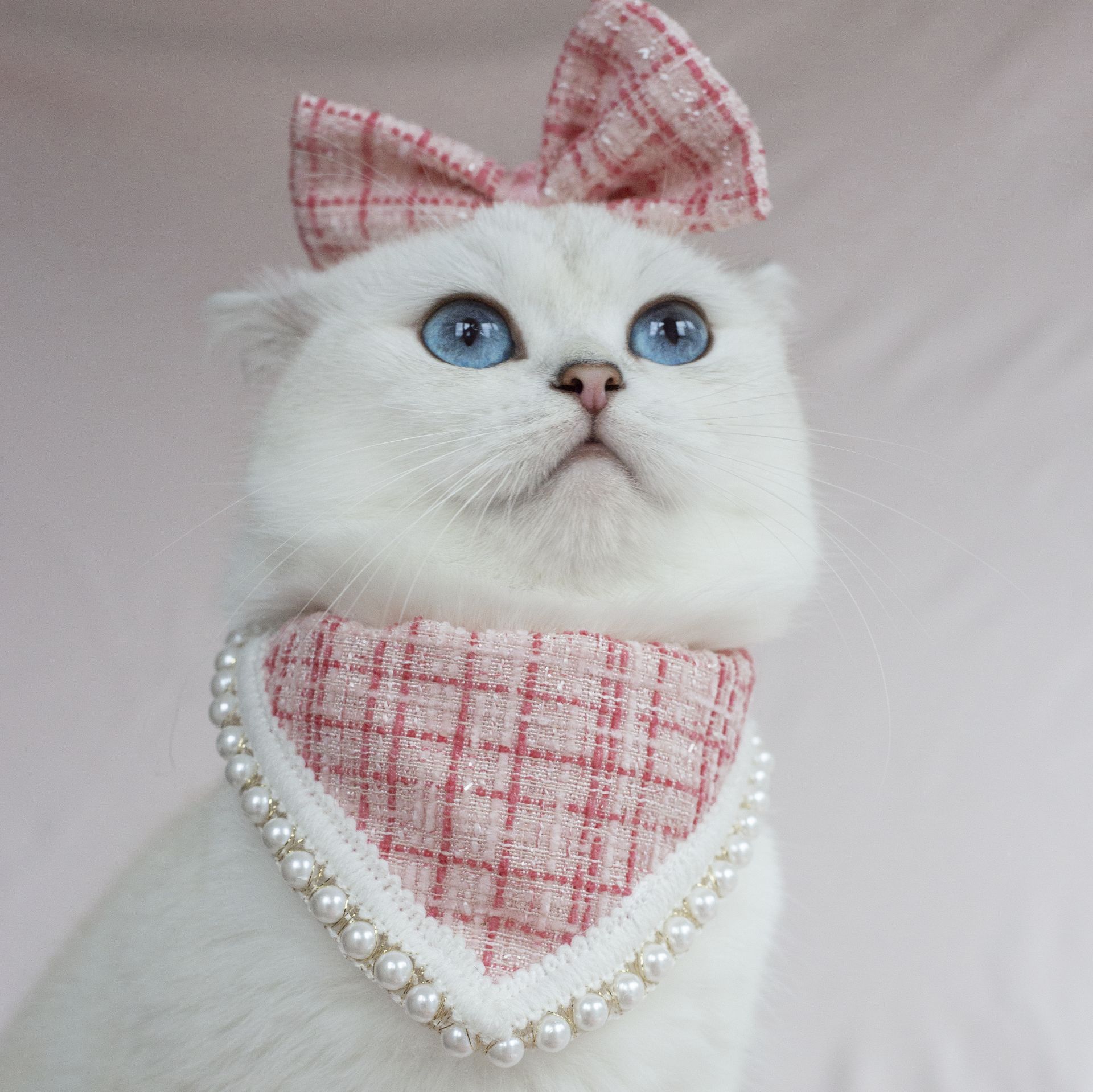 Cat Cute Collar Thousand Bird Check Dog Pet Clothing Drool Towel Bow Headdress Pearl Bib Scarf