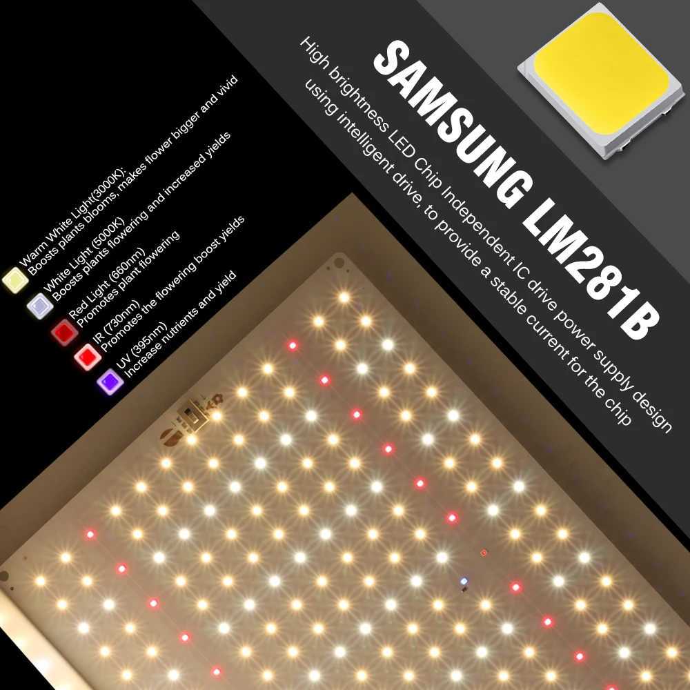 1000W Full Spectrum LED Grow Light Quantum Sunlike Grow Lamp LM281B For Greenhouse Plant Growth Lighting Dimmable Lamp Y240816
