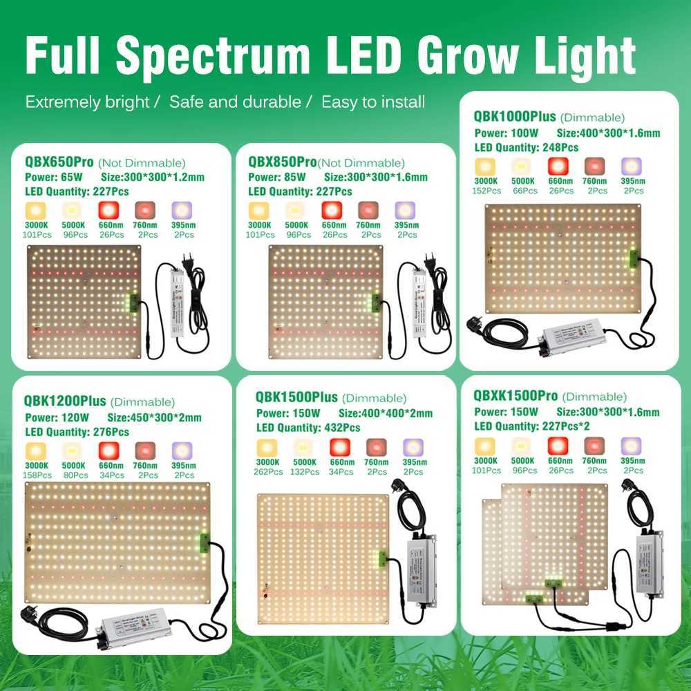 1000W Full Spectrum LED Grow Light Quantum Sunlike Grow Lamp LM281B For Greenhouse Plant Growth Lighting Dimmable Lamp Y240816