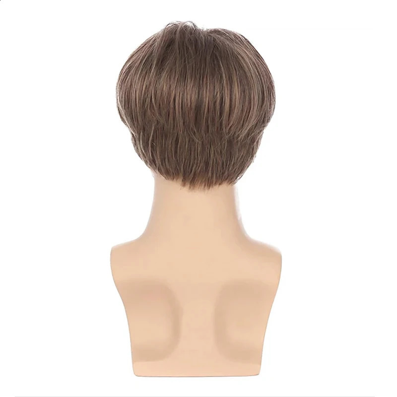 HAIRJOY Synthetic Hair Short Straight Middle Part Wigs for Men Halloween Wig 240806