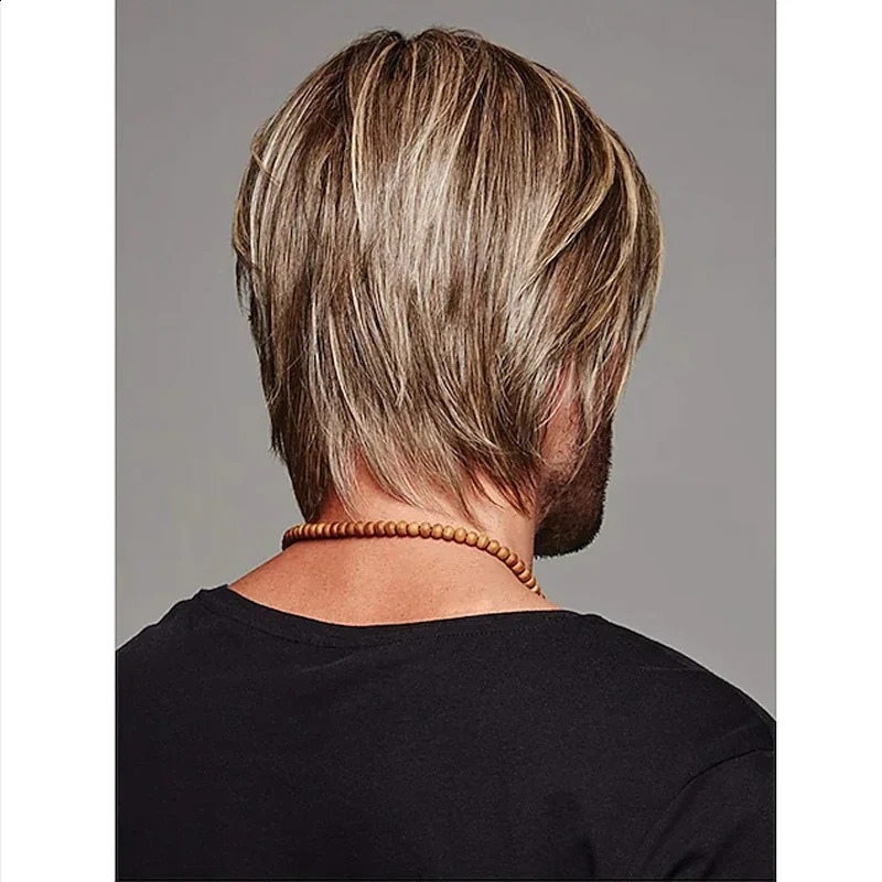 HAIRJOY Man Synthetic Hair Brown Short Layered Wig Male Curly Wigs 240806