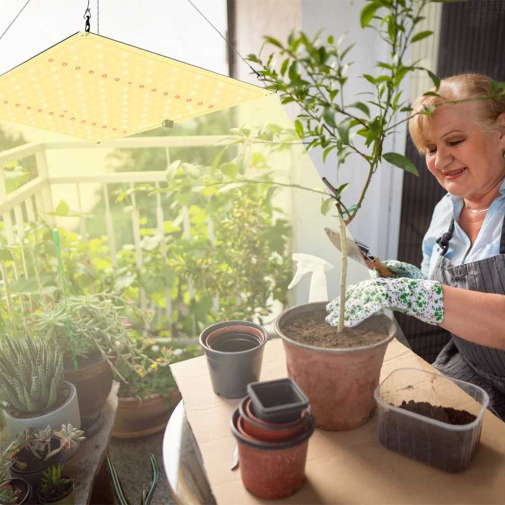 LED Grow Light 800W SM LM281b+ Diodes Quiet Fanless Full Spectrum Grow Light High PPFD For 5x5FT Coverage Veg and Blooming Y240816