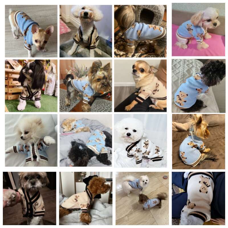 Luxury Dog Clothes Chihuahua Pet Striped Cardigan Sweater Bichon Frise Puppy Kitten Dog Warm Coat Cat Dog Accessories Pet Outfit 867