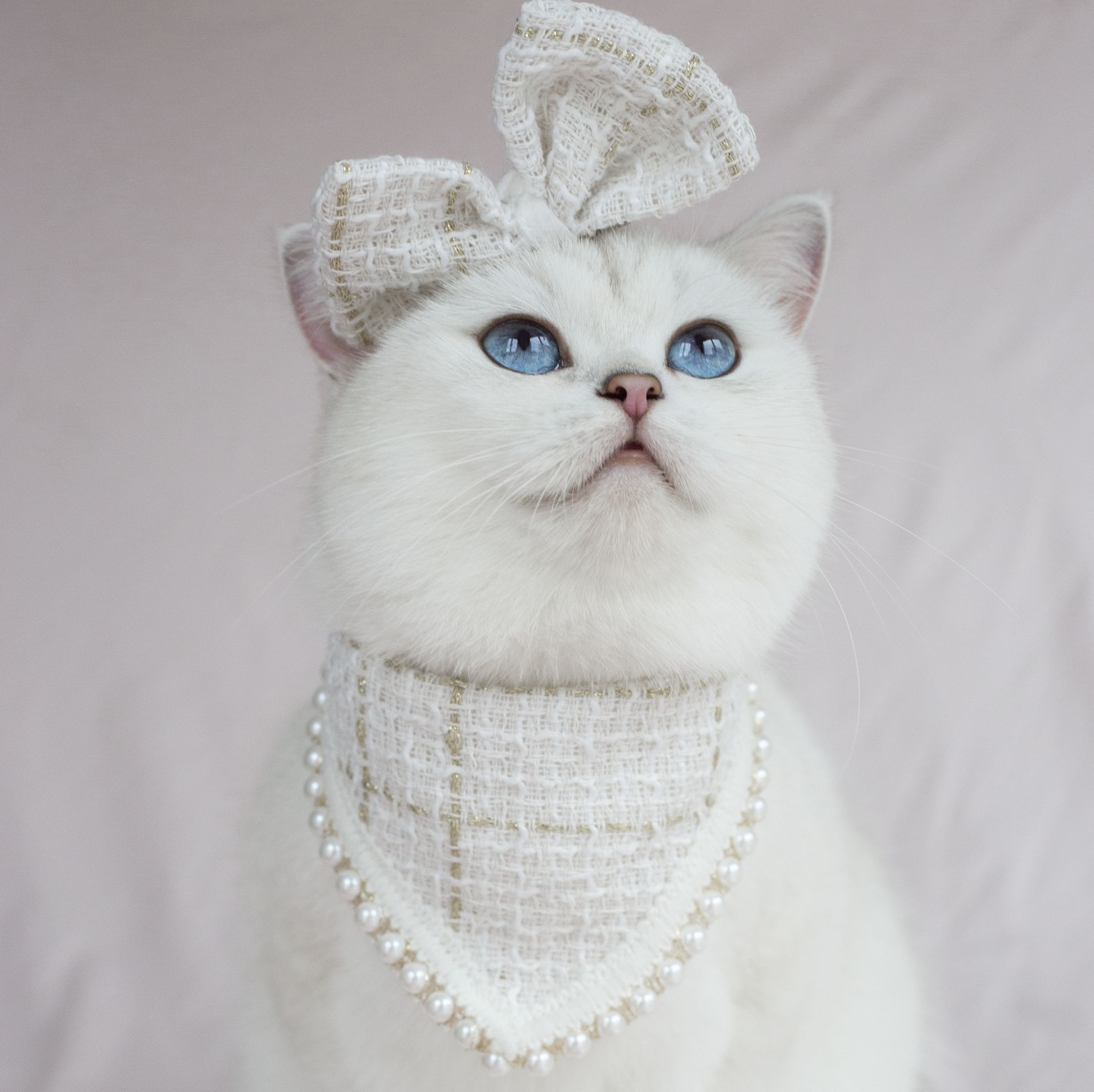Cat Cute Collar Thousand Bird Check Dog Pet Clothing Drool Towel Bow Headdress Pearl Bib Scarf