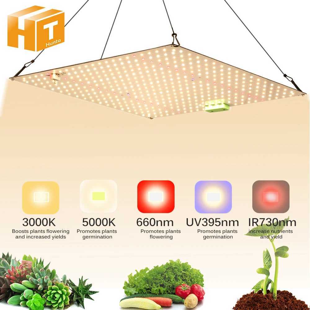 1000W Full Spectrum LED Grow Light Quantum Sunlike Grow Lamp LM281B For Greenhouse Plant Growth Lighting Dimmable Lamp Y240816
