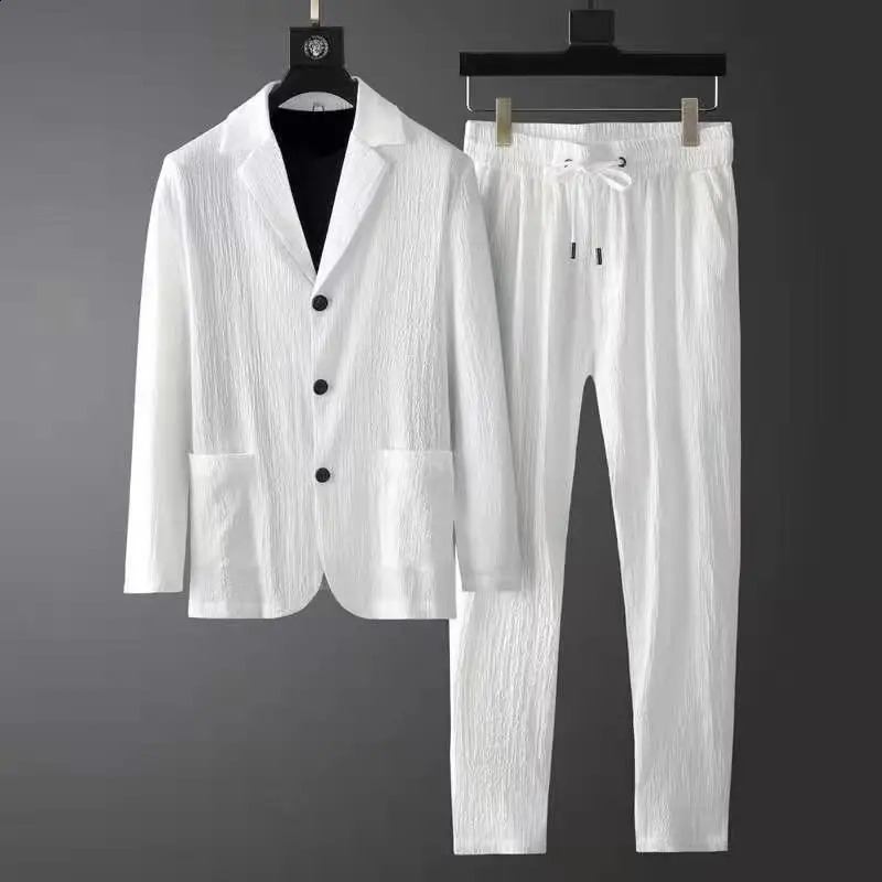 Spring and Autumn Fold Set Mens Fashion Casual Solid Long Sleeve Jacket and Mens Two Piece Loose Mens Wear 240827