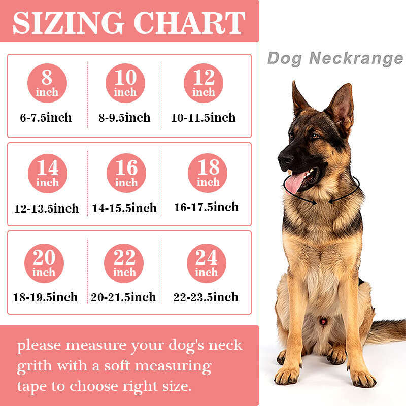 Dog Collars Pink Diamond 15MM Pet Cuban Jewelry Accessories for Dogs Cats Gold Dog Walking Metal Chain Collar H250219