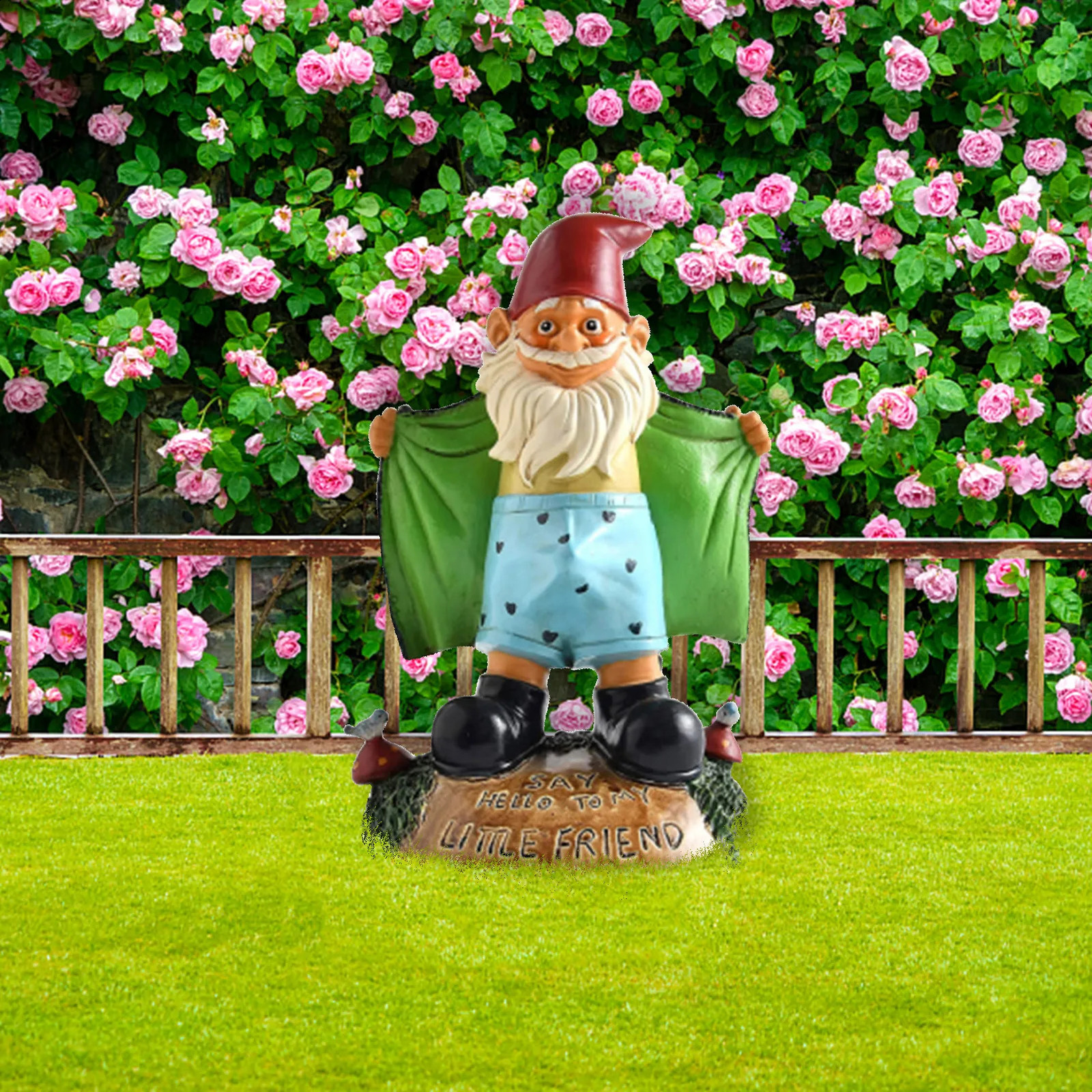 Funny Naughty Garden Gnome Statue Lawn Gnome Figurine SAY HELLO TO MY LITTLE FRIEND Dwarf Shows Underpants Garden Gnome Decor 240809