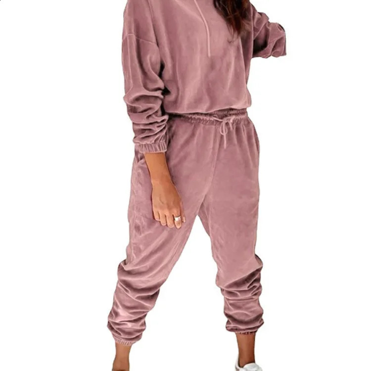 Velvet Material Women 2 Piece Set Casual Sport Outfits Tracksuit Hoodies SweatshirtPants Spring Sportswear Running Sets 240809