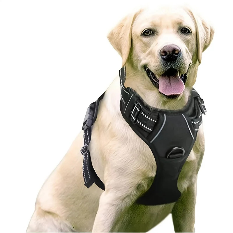 Dog Harness No-Pull Pet Harness with 2 Leash Clips Adjustable Soft Padded Dog Vest Black 240805
