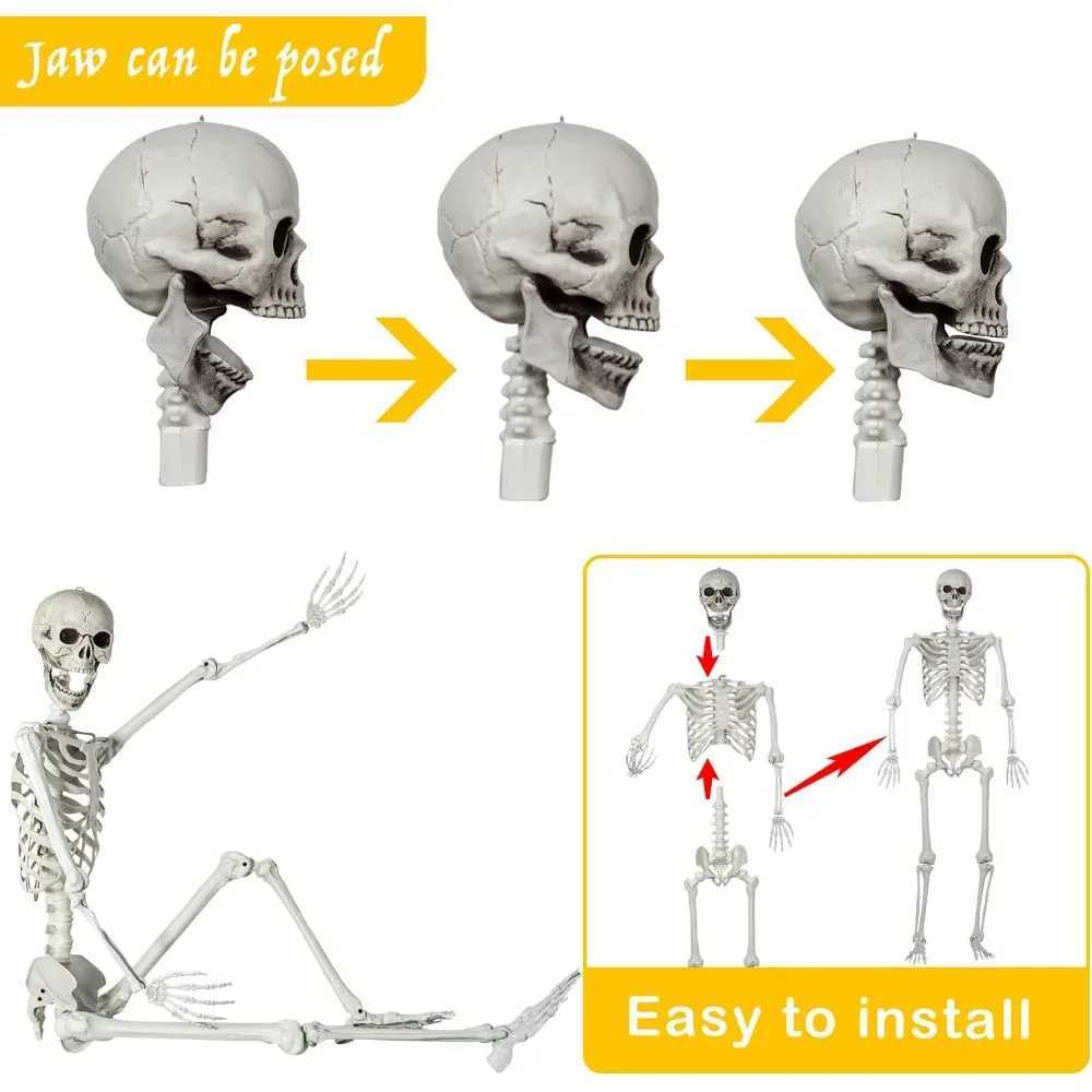 5.4Ft/165cm Posable Halloween Skeleton Full Body Life Size Skeleton with Movable Joints CL240819