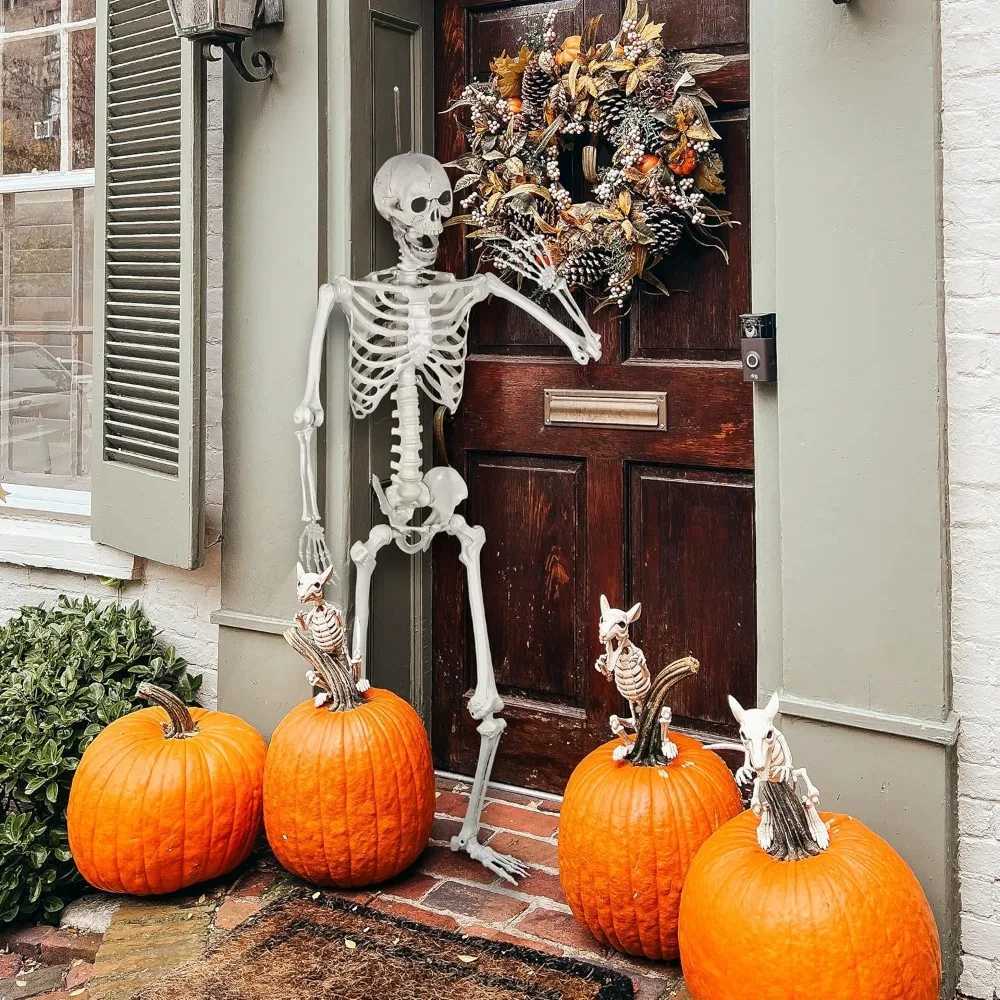 5.4Ft/165cm Posable Halloween Skeleton Full Body Life Size Skeleton with Movable Joints CL240819