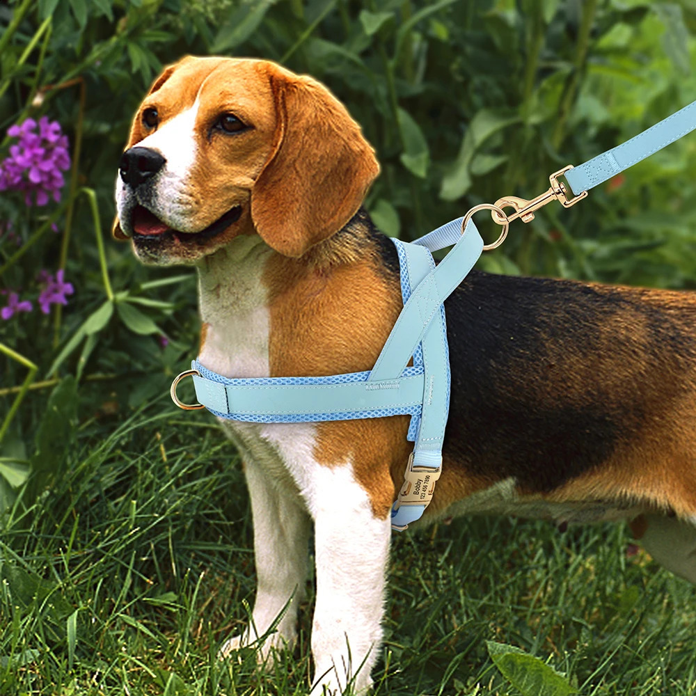 Personalized Nylon Dog Harness No Pull Pet Dog Harness Vest Free Engraved For Medium Large Dogs Walking Training Pet Supplies 240819