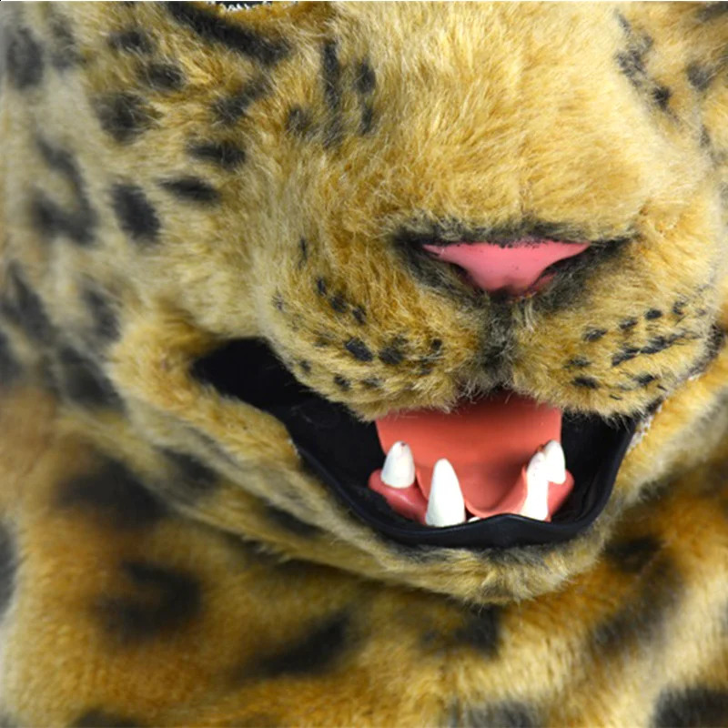 Leopards wear mouth masks at Halloween carnivals and parties for fun and celebration 240819