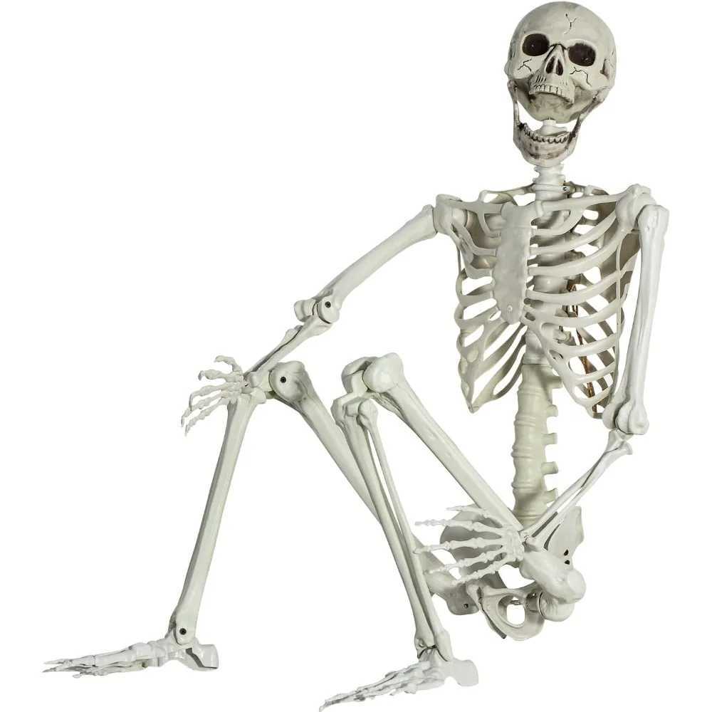 5.4Ft/165cm Posable Halloween Skeleton Full Body Life Size Skeleton with Movable Joints CL240819