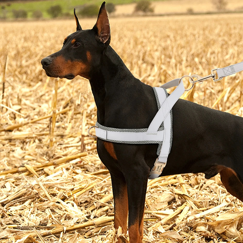 Personalized Nylon Dog Harness No Pull Pet Dog Harness Vest Free Engraved For Medium Large Dogs Walking Training Pet Supplies 240819