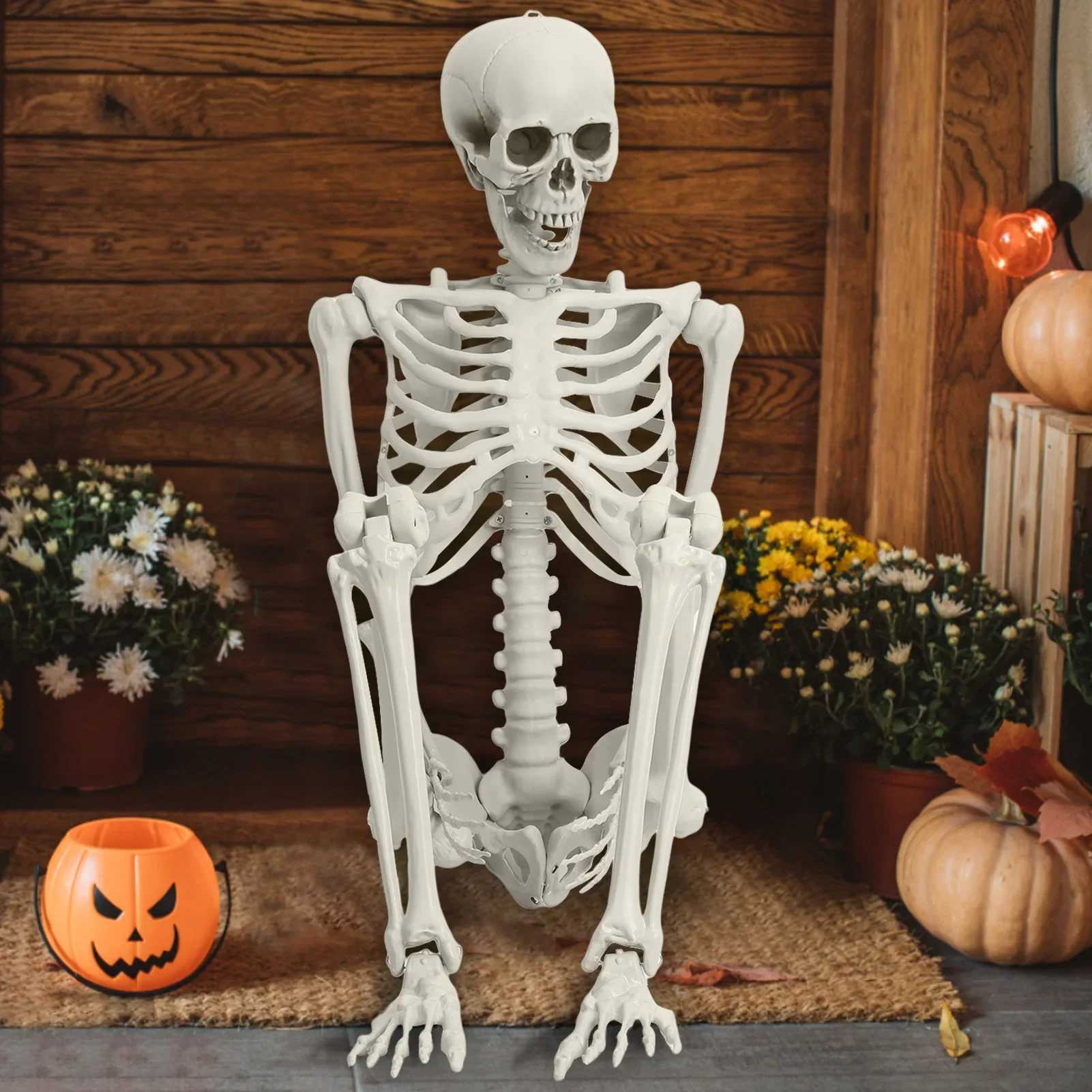 New 165cm Halloween Life Size Skeleton Plastic Skeleton Poseable Joints Realistic Skull Human Bones Cemetery Haunted House Decor CL240819