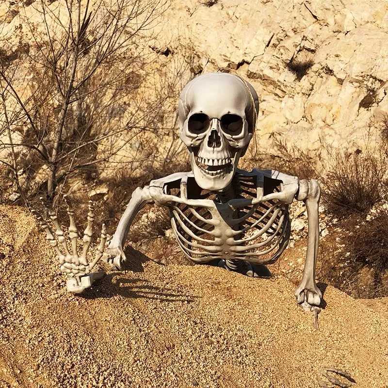 Halloween Decoration For Home 90CM Plastic Skull Skeleton For Bar Halloween Cosplay 2024 Skeleton Children Haunted House Decor CL240819