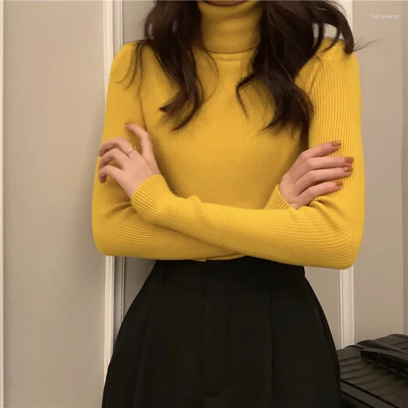 Women's Sweaters: Turtleneck Style Knitted Top, Long Sleeve Solid Base Layer Inner