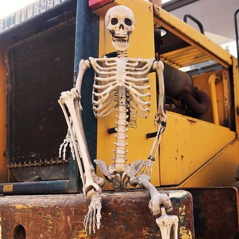 Halloween Decoration For Home 90CM Plastic Skull Skeleton For Bar Halloween Cosplay 2024 Skeleton Children Haunted House Decor CL240819