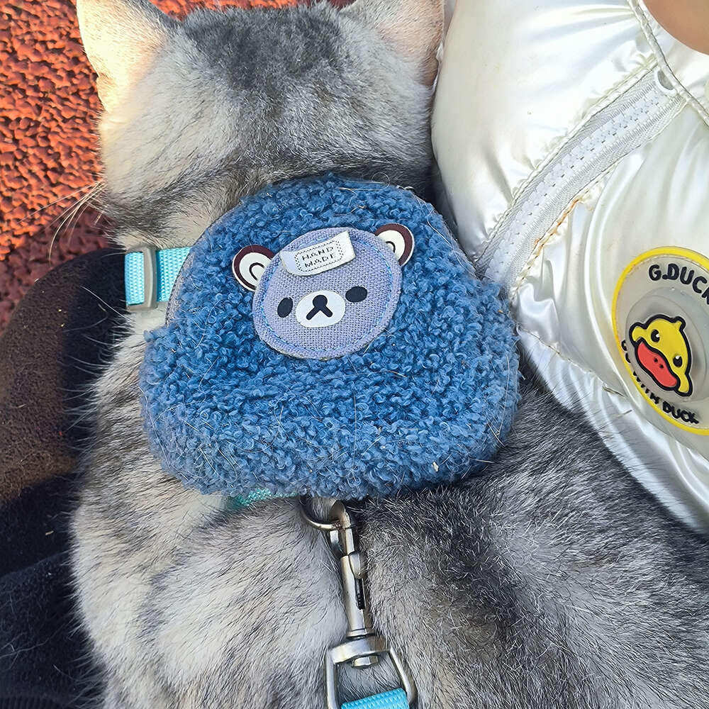 Lamb Wool Cartoon Bear for cats Backpack Harness with Leash Cat Puppy Outdoor Walking Supplies For Small Medium Dog