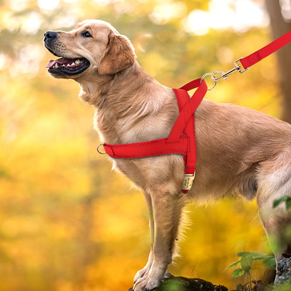 Personalized Nylon Dog Harness No Pull Pet Dog Harness Vest Free Engraved For Medium Large Dogs Walking Training Pet Supplies 240819