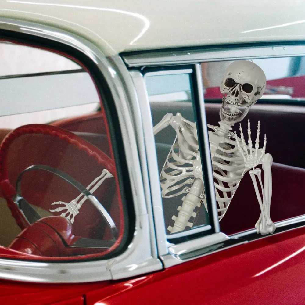 5.4Ft/165cm Posable Halloween Skeleton Full Body Life Size Skeleton with Movable Joints CL240819