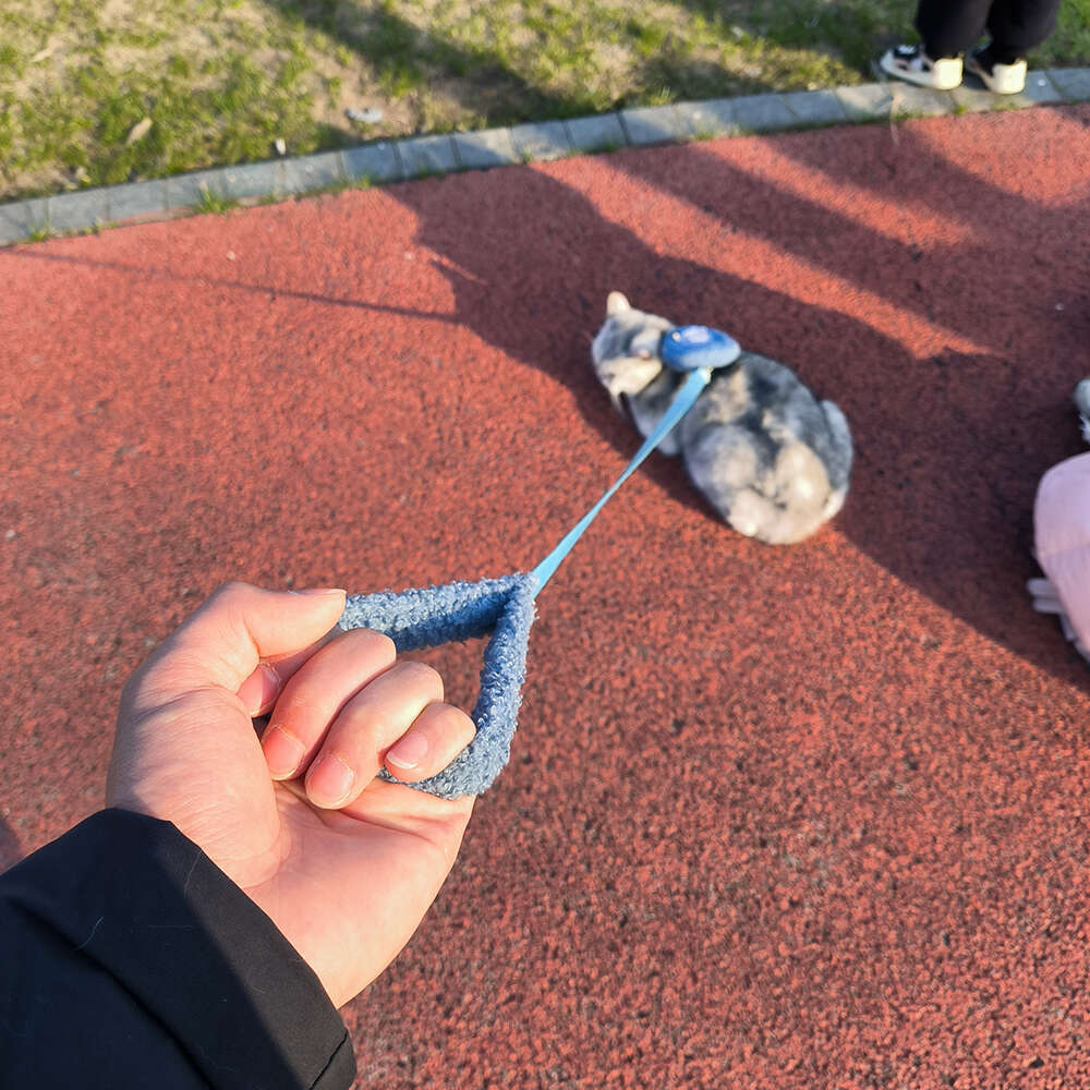 Lamb Wool Cartoon Bear for cats Backpack Harness with Leash Cat Puppy Outdoor Walking Supplies For Small Medium Dog