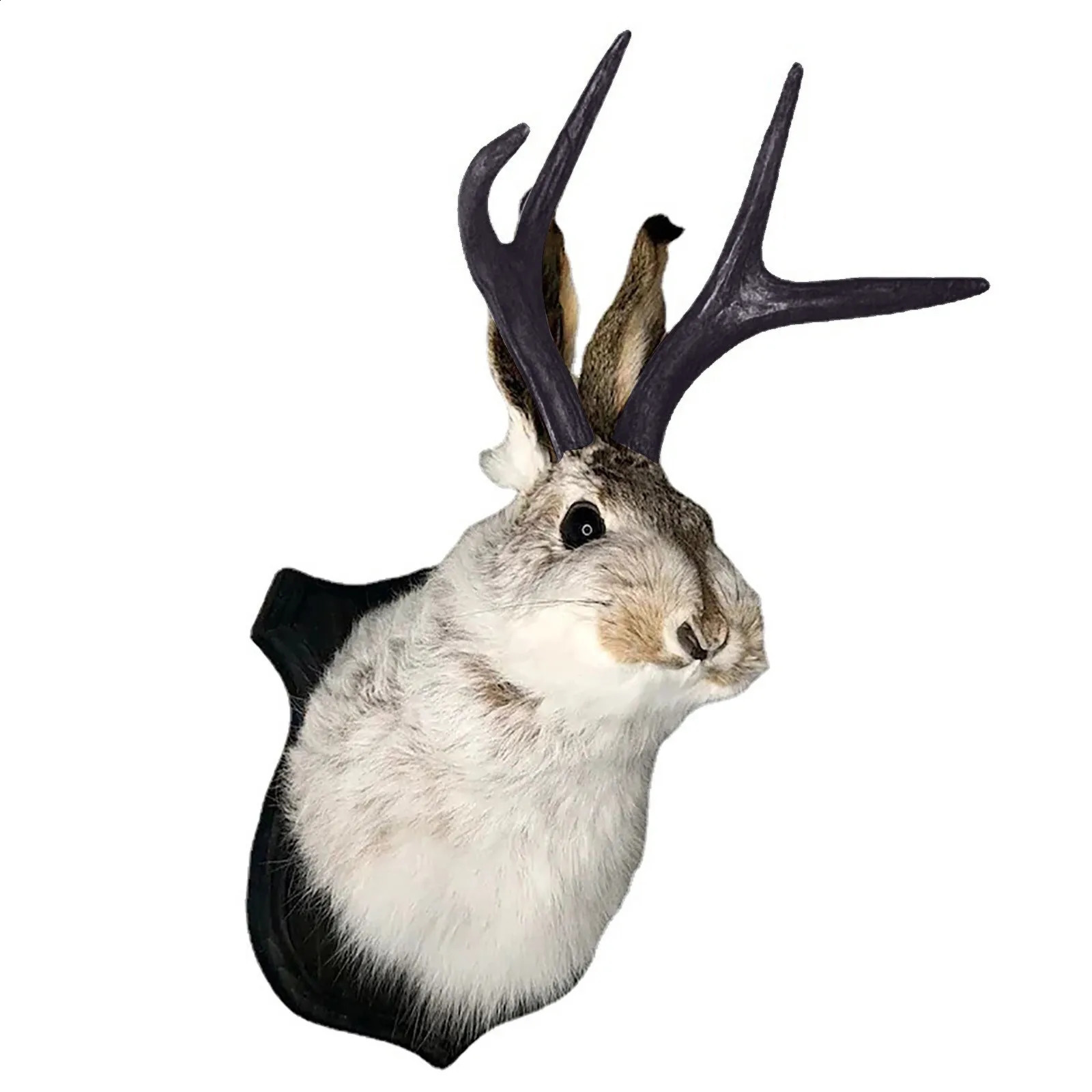Taxidermy Head Wall Decor Deer Head Wall Mount Deer Head Wall Mountfor Home Wall Decoration. Rabbit Ornaments Wall Decors 240819
