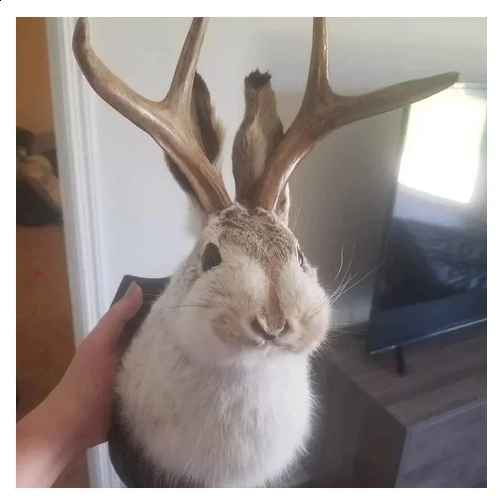 Antler Rabbit Head Wall Mount 3D Simulation Rabbit Furry Animal Taxidermy Easter Home Living Room Backdrop Decoration 240819