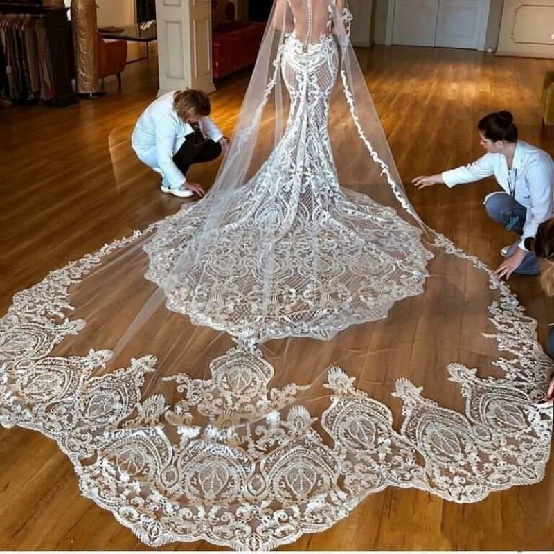 Exquisite Wedding Veil Laces Appliques One Layer Long Cathedral Length Veils Lace Edge Custom Made Bridal Accessories