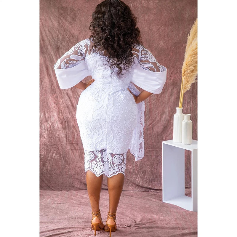 Plus Size Womens White Daily Round Neck Lace Mid-length Casual Fashion Dress