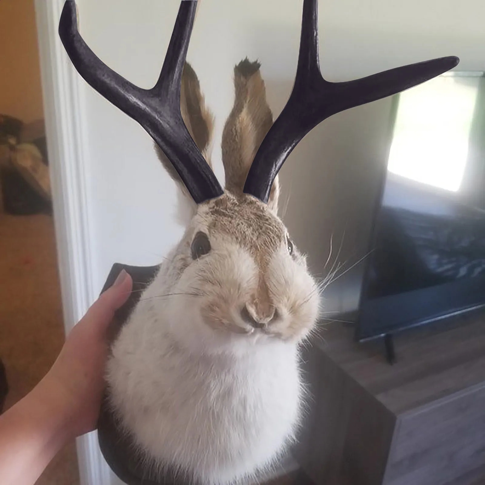 Taxidermy Head Wall Decor Deer Head Wall Mount Deer Head Wall Mountfor Home Wall Decoration. Rabbit Ornaments Wall Decors 240819