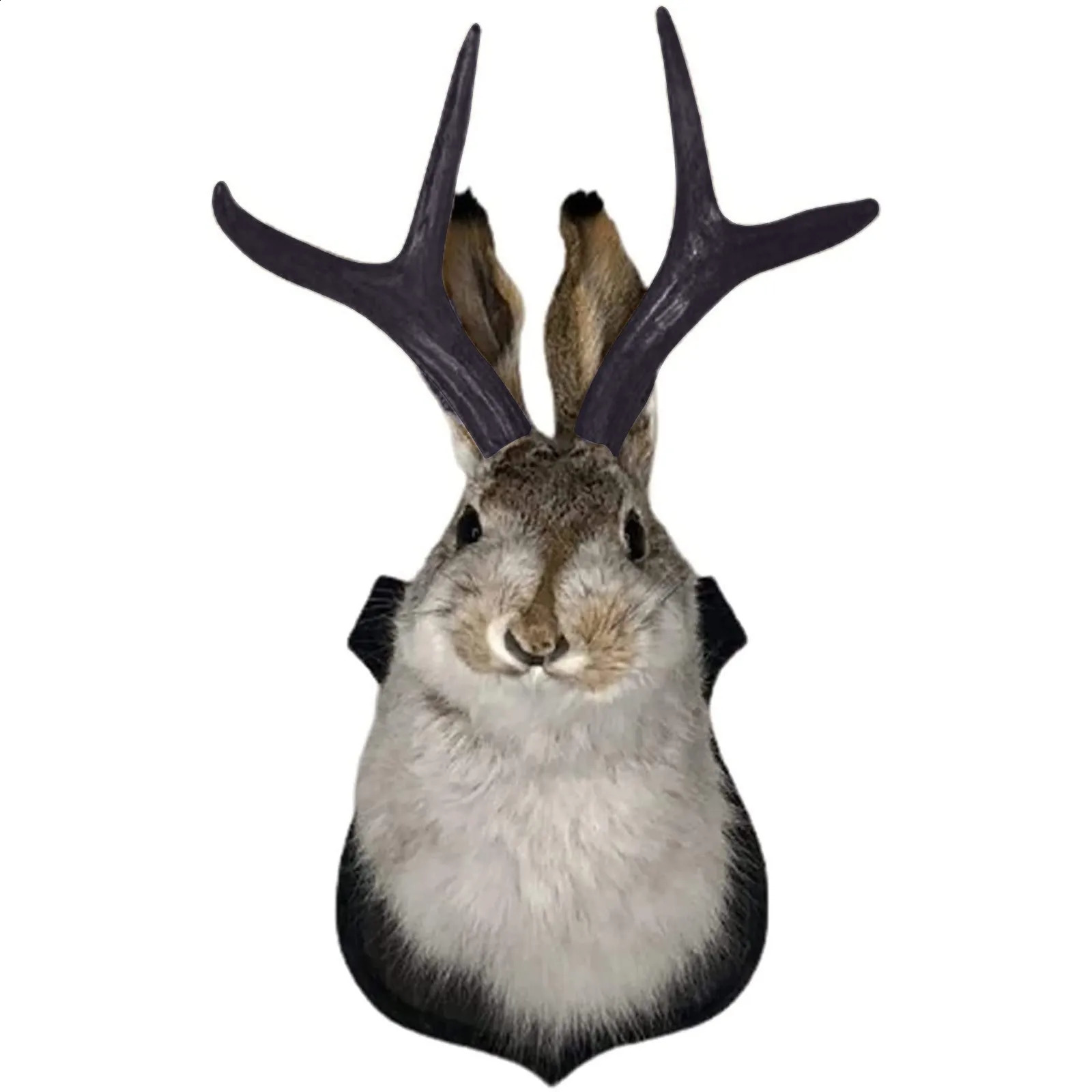 Taxidermy Head Wall Decor Deer Head Wall Mount Deer Head Wall Mountfor Home Wall Decoration. Rabbit Ornaments Wall Decors 240819