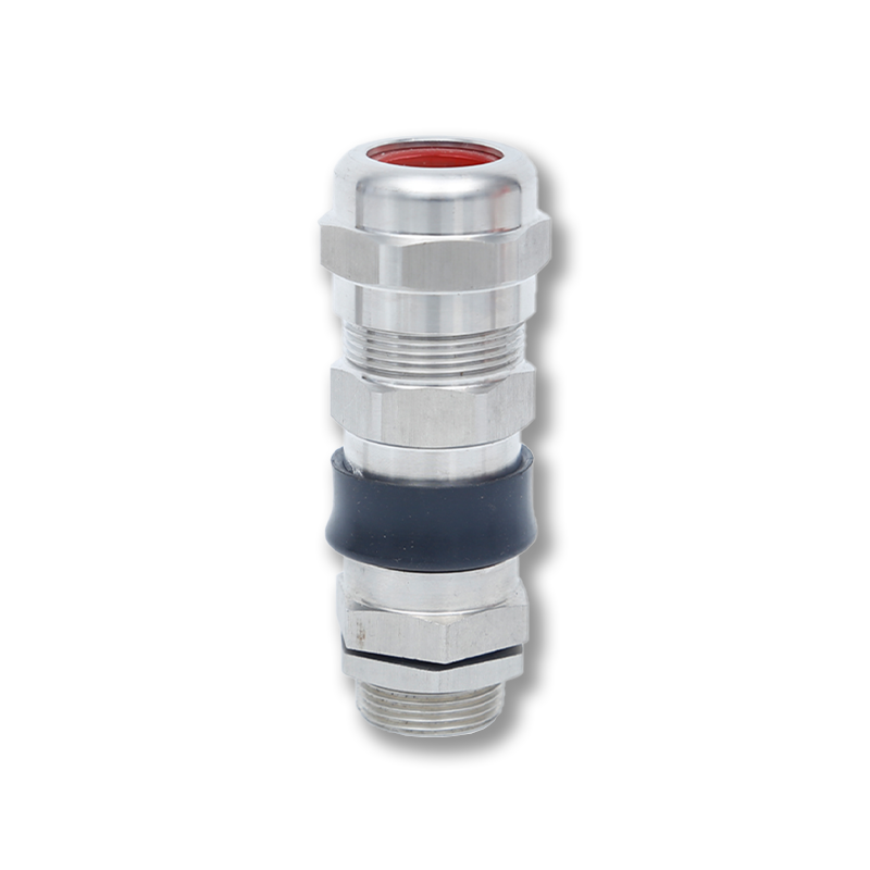 Double sealed armored gland head 304 stainless steel explosion-proof stuffing box gland waterproof cable clamping sealing joint
