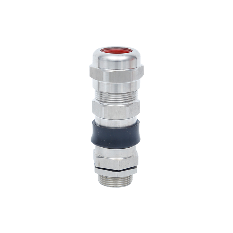 Double sealed armored gland head 304 stainless steel explosion-proof stuffing box gland waterproof cable clamping sealing joint