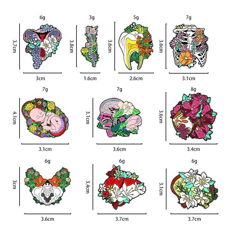 Wholesale of fancy organic enamel pins Fetus Uterus teeth ribs liver kidneys chest lapel badges bags jewelry gifts W240815