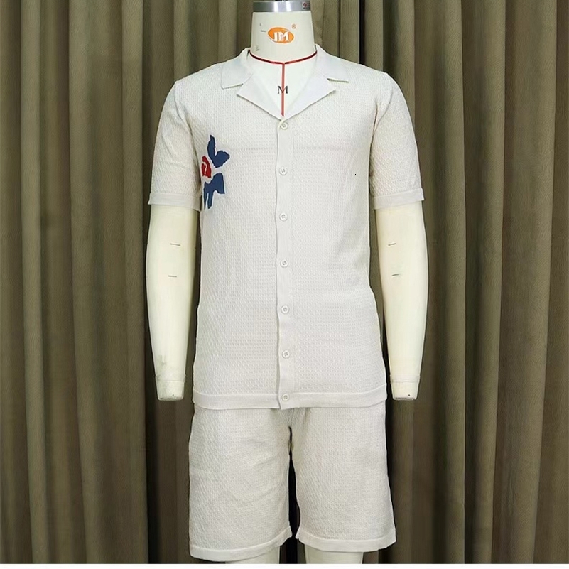 Fashion Men Knit Suits Polo Shirts Cardigan Shorts Two Piece Sets For Men Clothes Jacquard Print Casual Fashion Sweater Outfit 240819