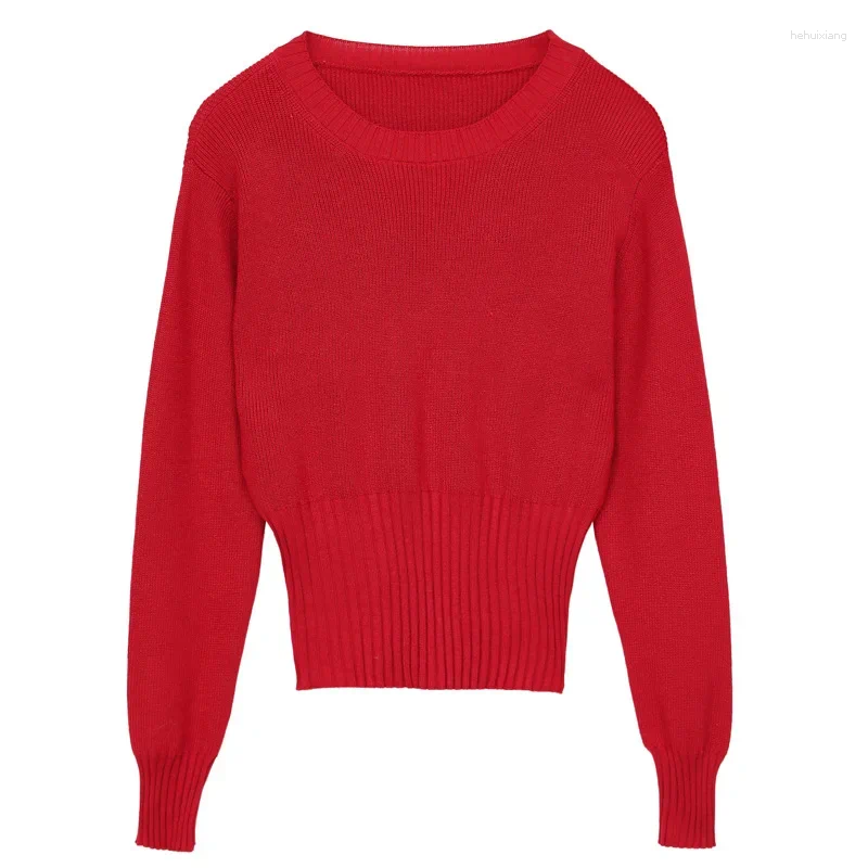 Women's Petite Knitted Sweater | Cropped Crew Neck For Layering