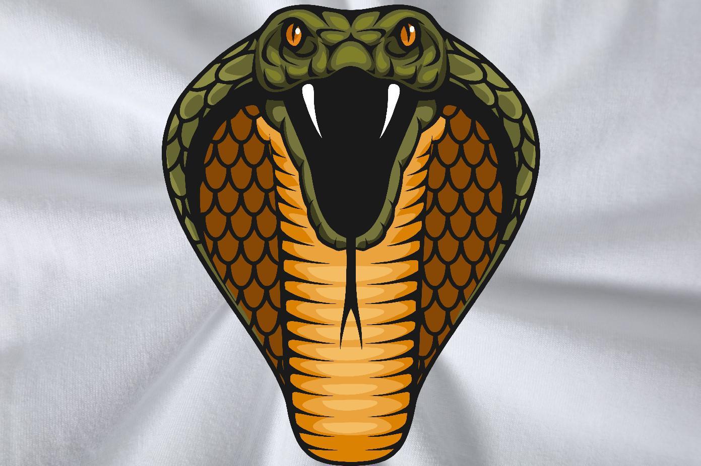 Cool Men Tees High Street Hip Hop 230g 100% Cotton Oversized 3XL 4XL Breathable cobra Men T Shirts Fashion Tops Tees