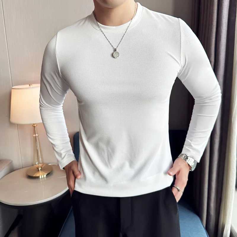 High Elastic T-shirt Men 2023 Autumn New Long Sleeve Round Neck T-shirt Solid Casual Slim Fit White Black T-shirt Men ClothingXJ240819