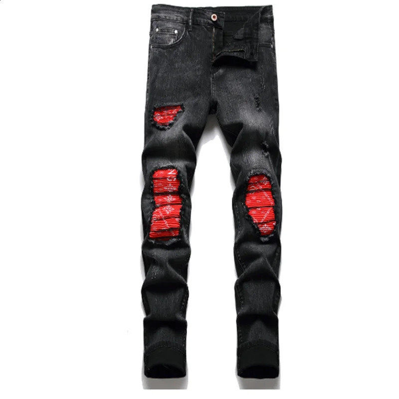 Embroidered Floral Tiger Bird Print n Mens Ripped Jeans Slim Fit Blue Straight Biker Trousers Asian Size 28-40 240821