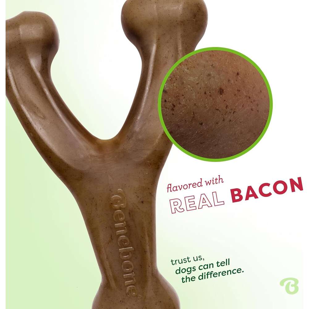 Benebone bone Durable Dog Chew Toy for Aggressive Chewers, Real Bacon, Made in USA, Medium
