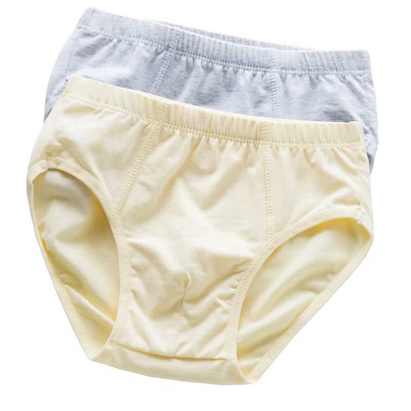 2Pcs/lot new childrens underwear cotton boy briefs underwear Y240821