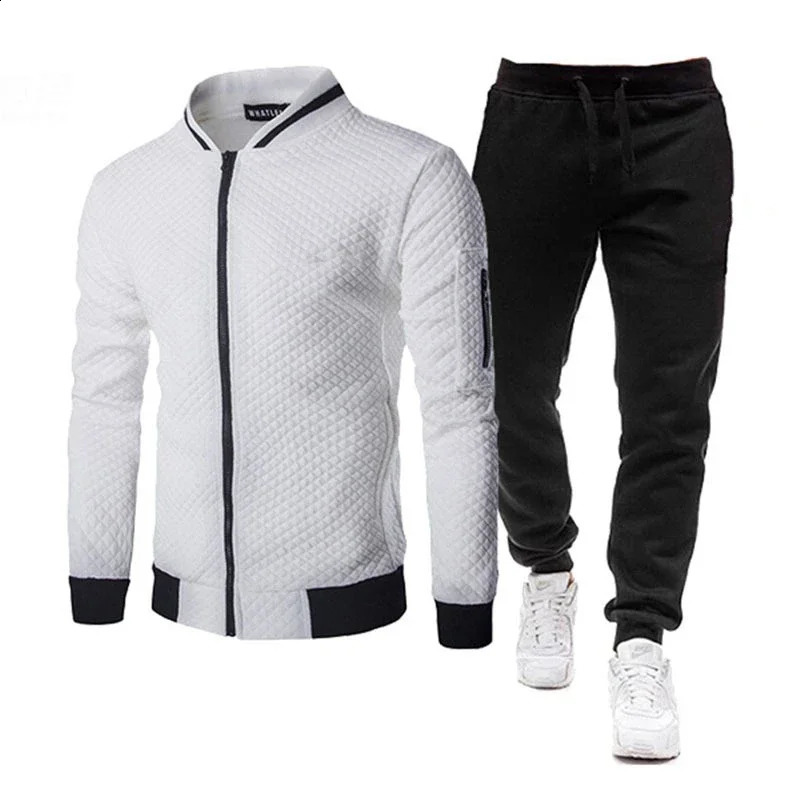 Mens Fall winter Two-piece Sports Sets Stand-up Collar Solid Color Plaid Zipper Sweater Baseball Sports Suit 240821